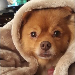 Meet your Posher, Julie